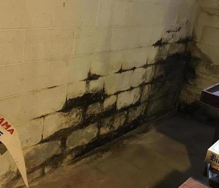 Photo of a white wall with black mold on it 